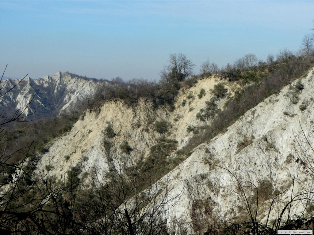 P1050346