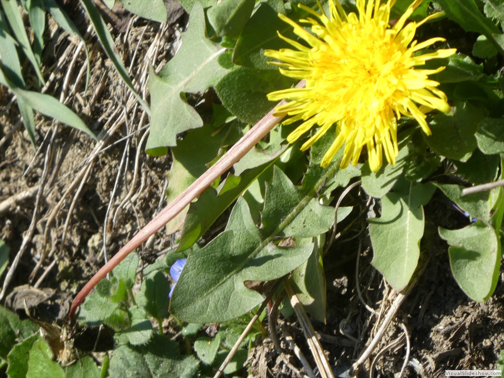 P1050349