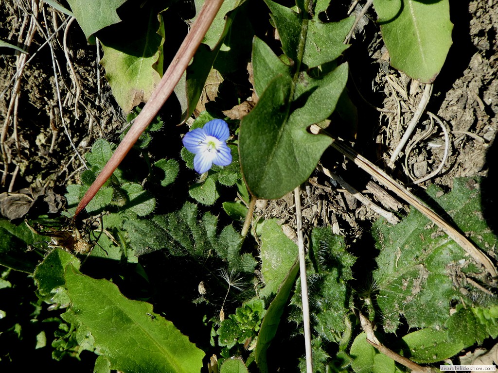 P1050350