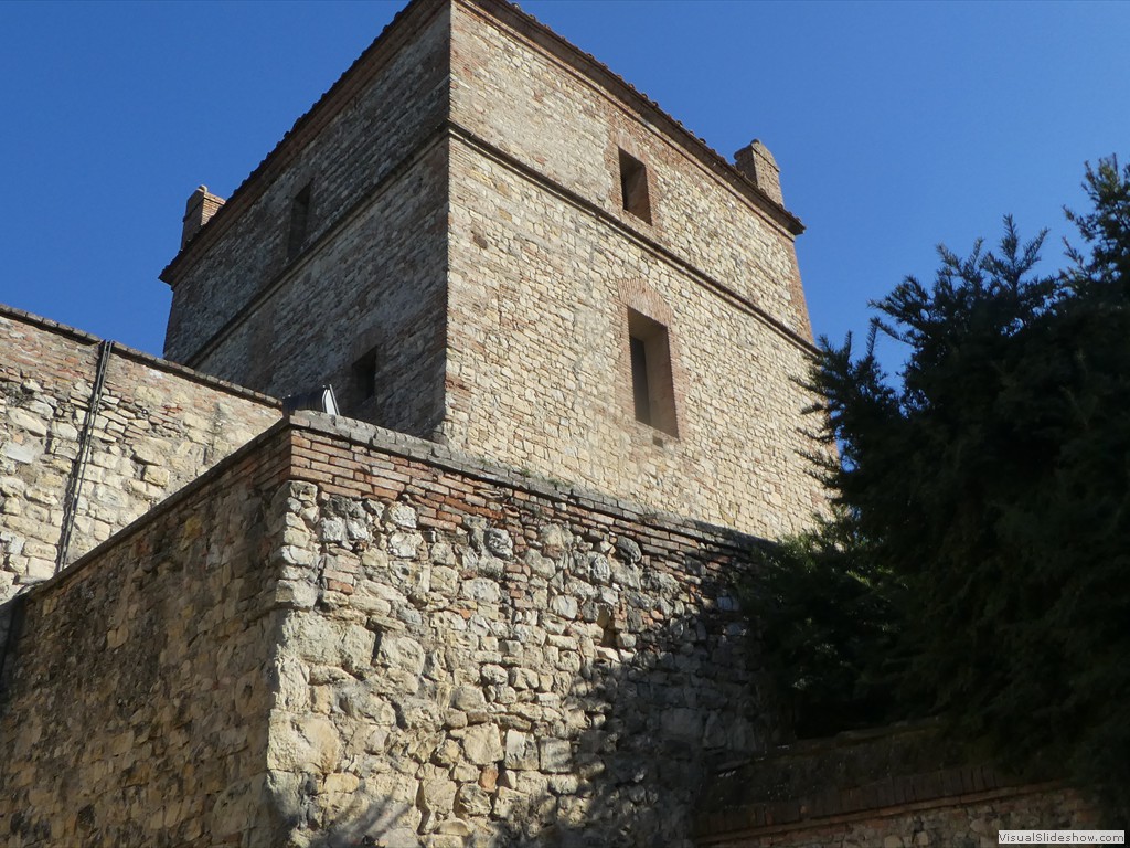 P1050369