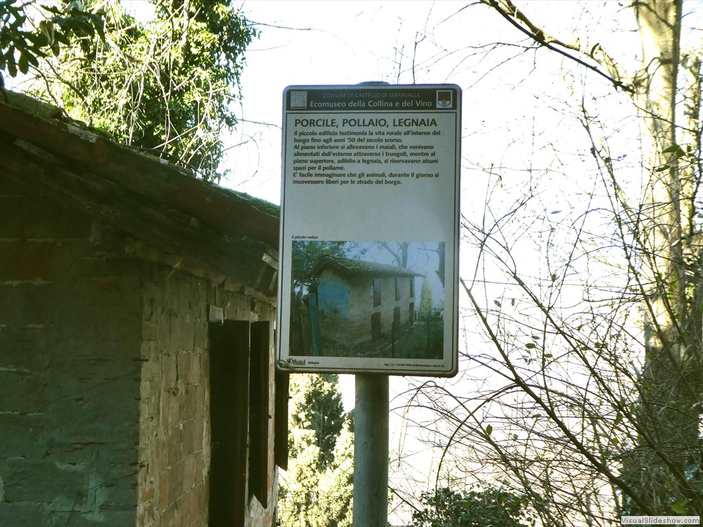 P1050391