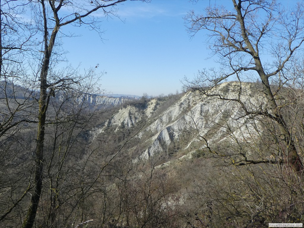 P1050399