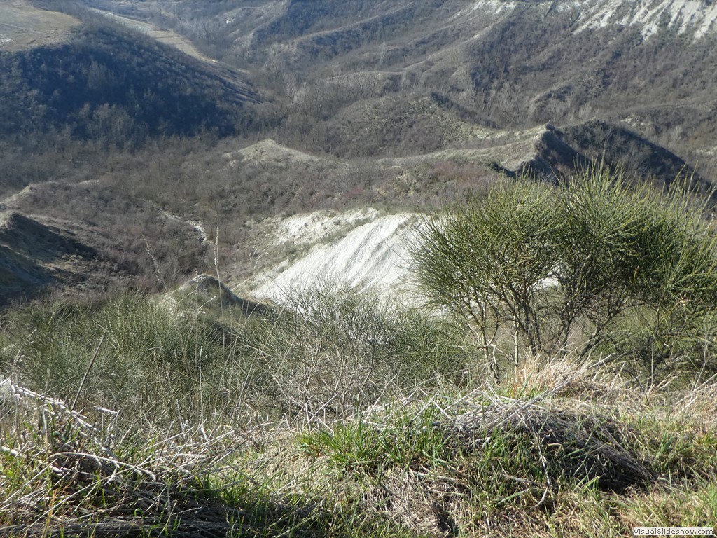 P1050406