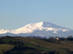 P1050316