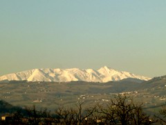 P1050317