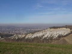 P1050319