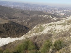 P1050322