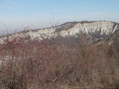 P1050326