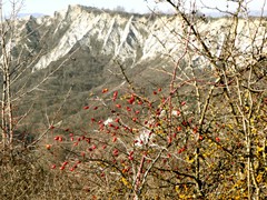 P1050334