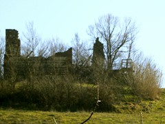 P1050337