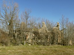 P1050339