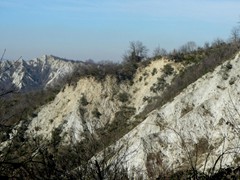 P1050346