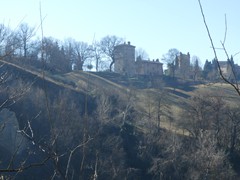 P1050355