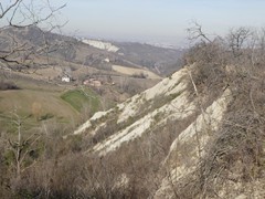 P1050358