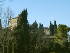 P1050360