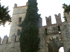 P1050365