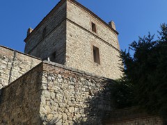 P1050369