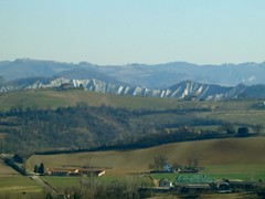 P1050394
