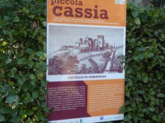 P1050396