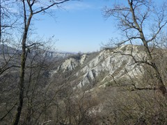 P1050399