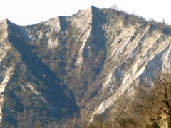 P1050402