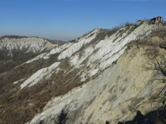 P1050405