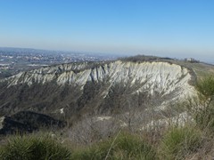 P1050407