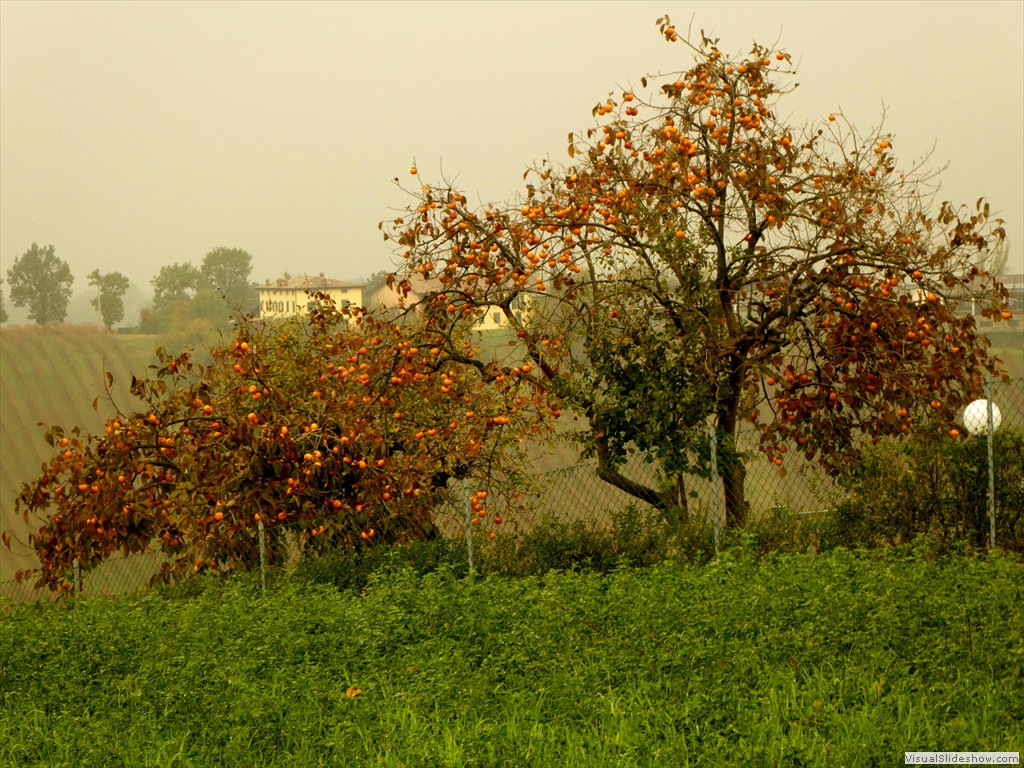 P1040250