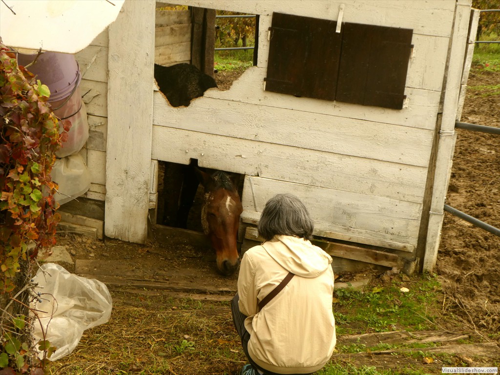 P1040262