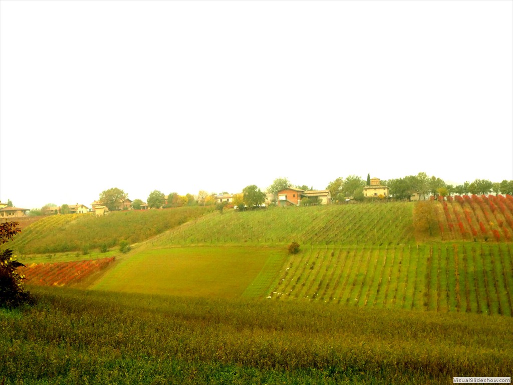 P1040273