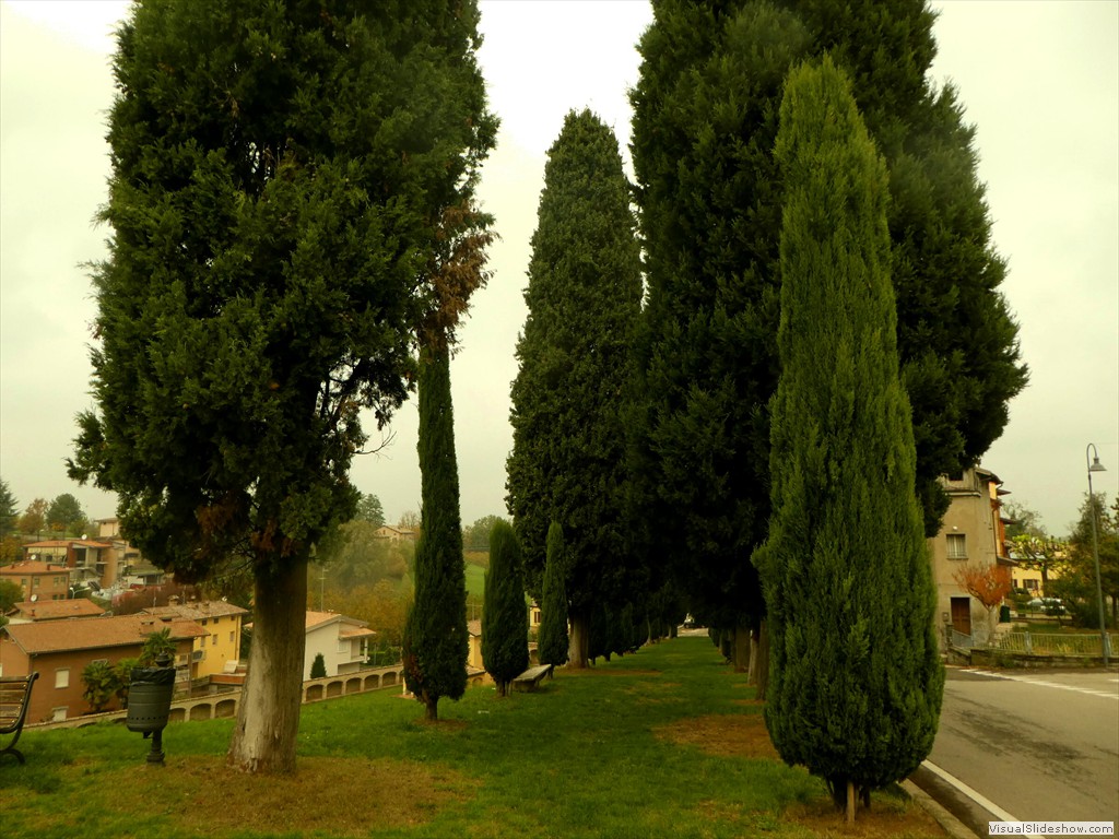 P1040284