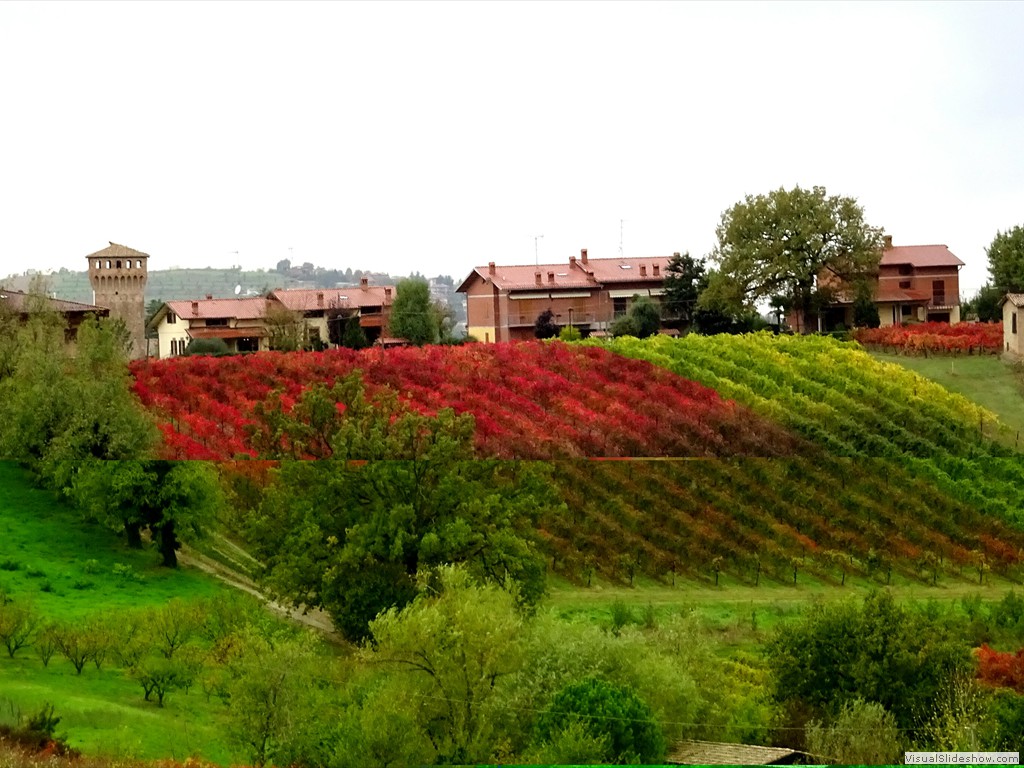 DSC01366