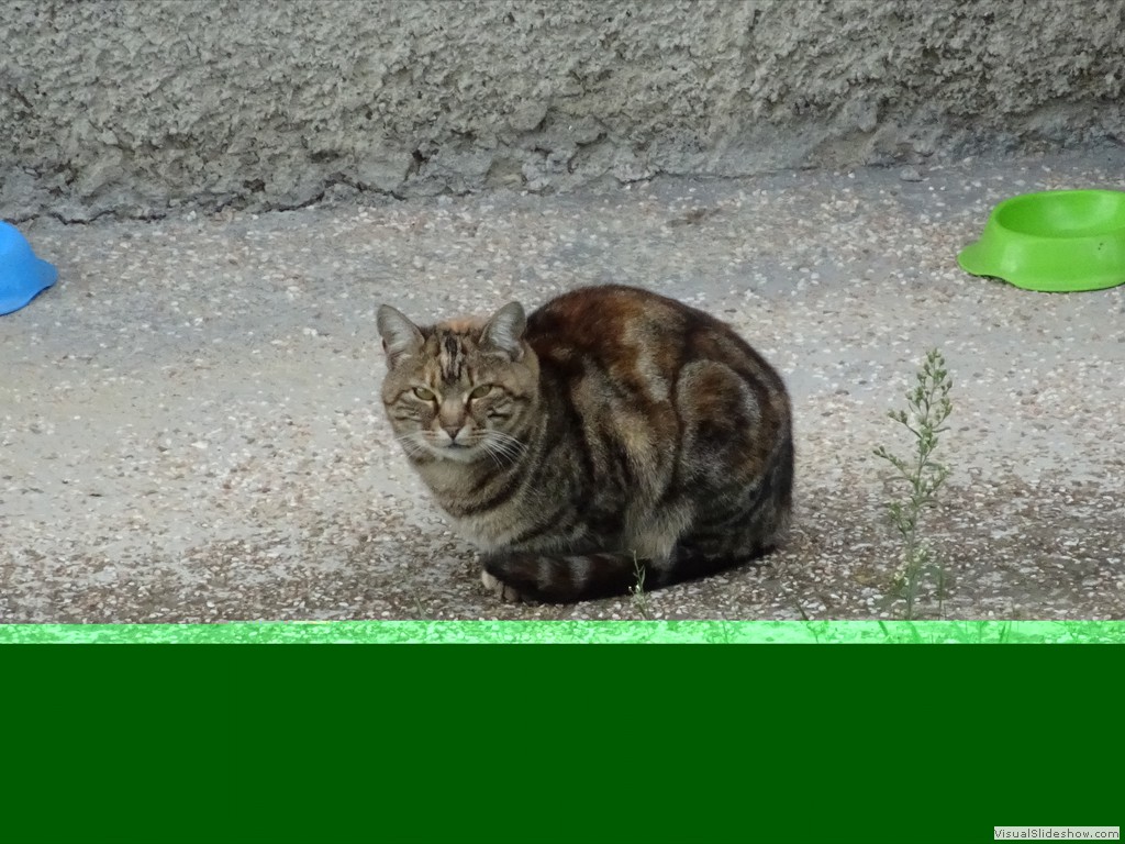 DSC01408