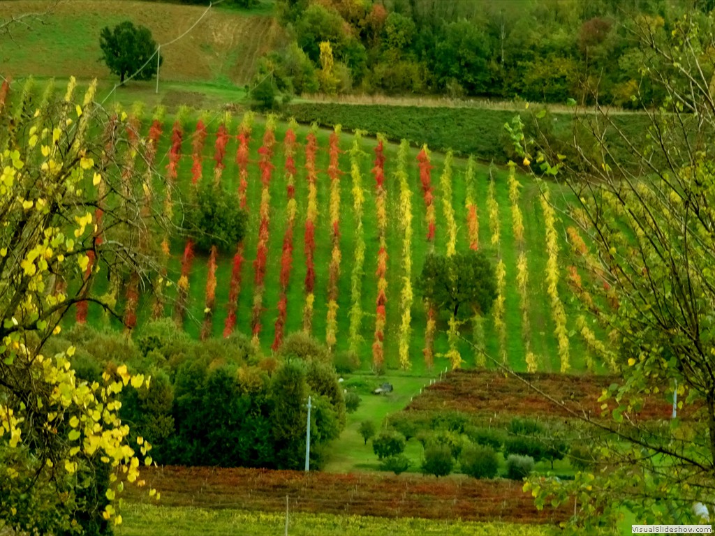DSC01409