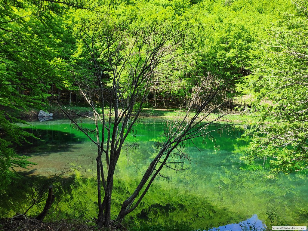 IMG_20190605_111817