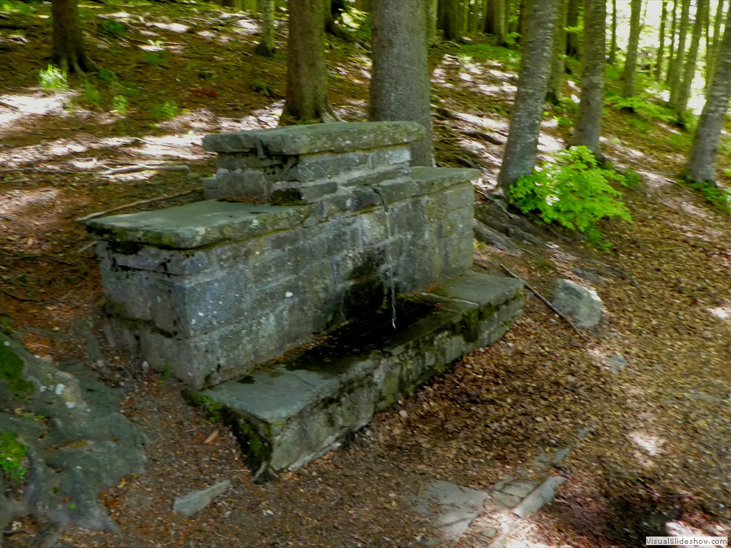 P1060989