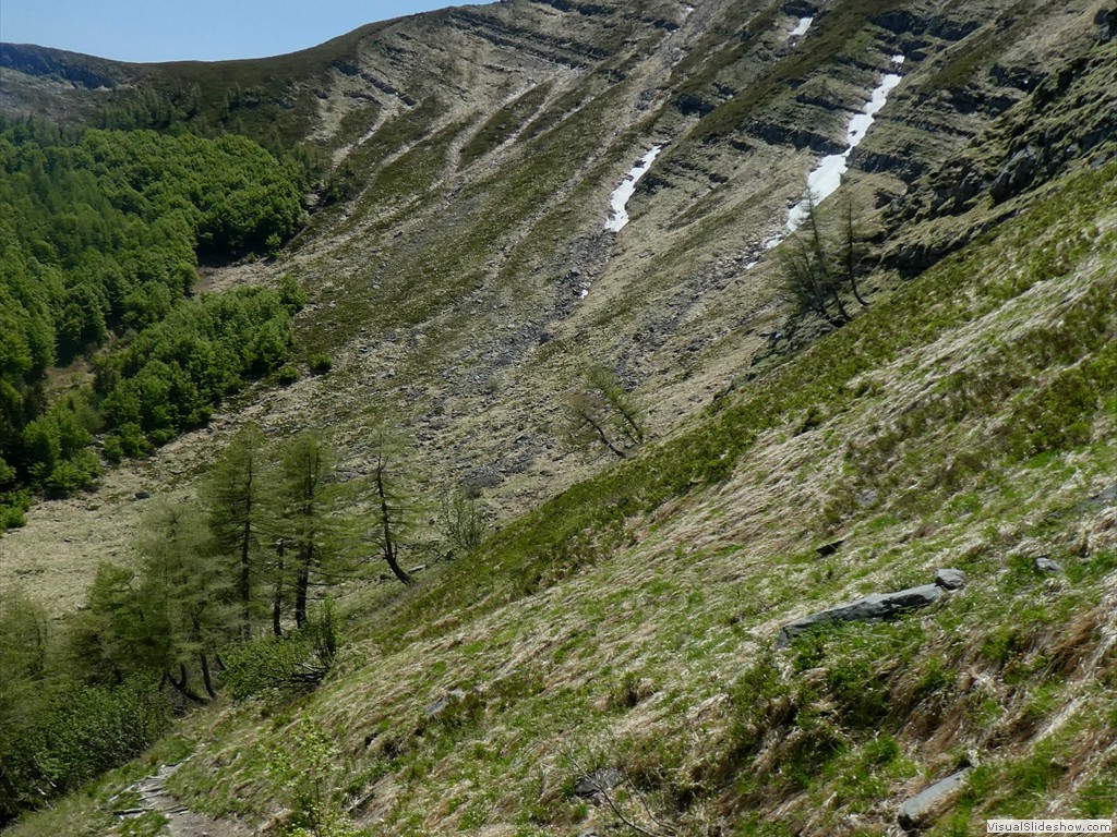 P1070007