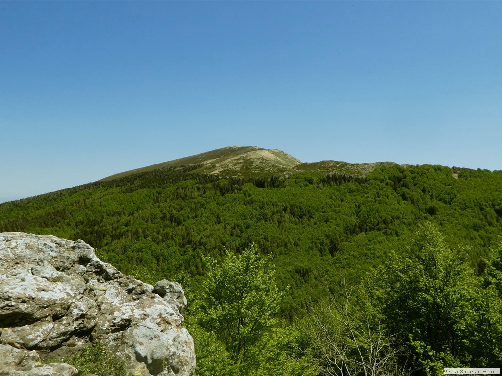 P1070008