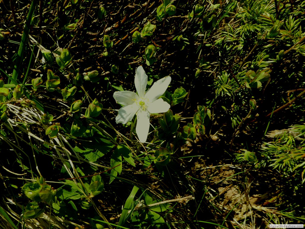 P1070009