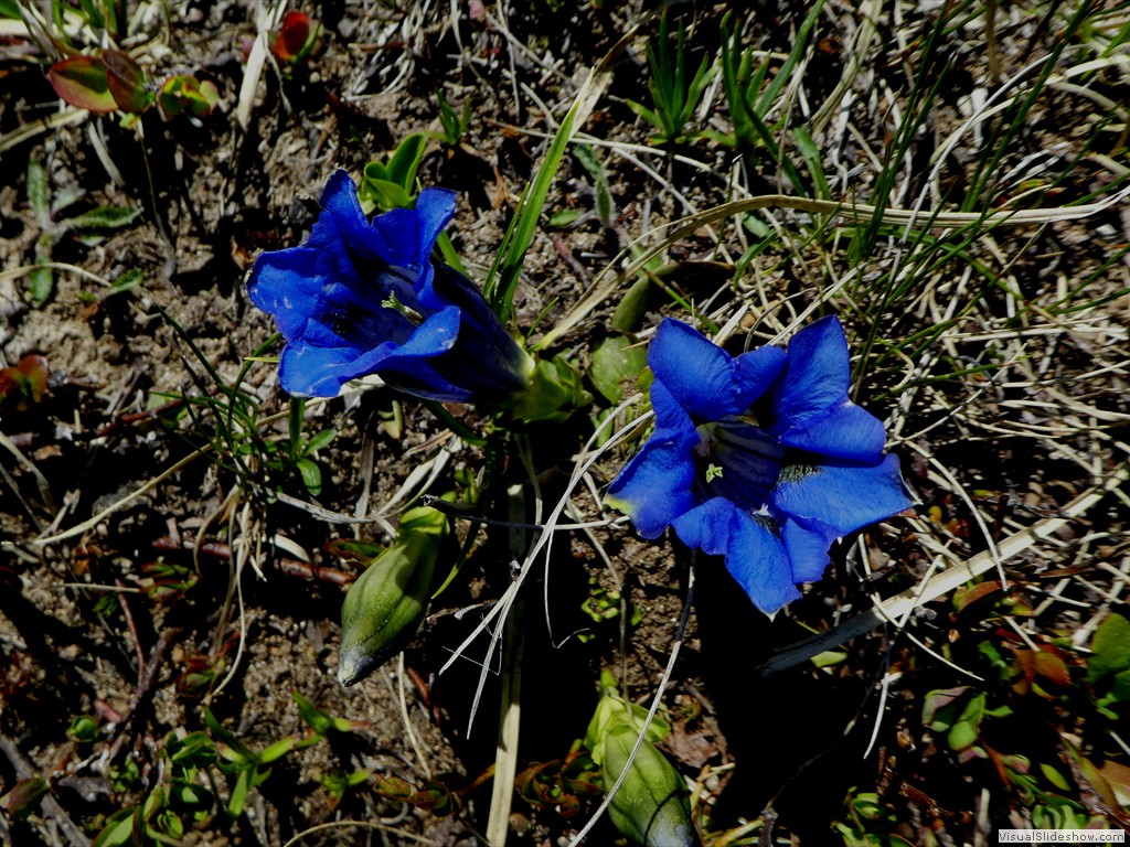 P1070014