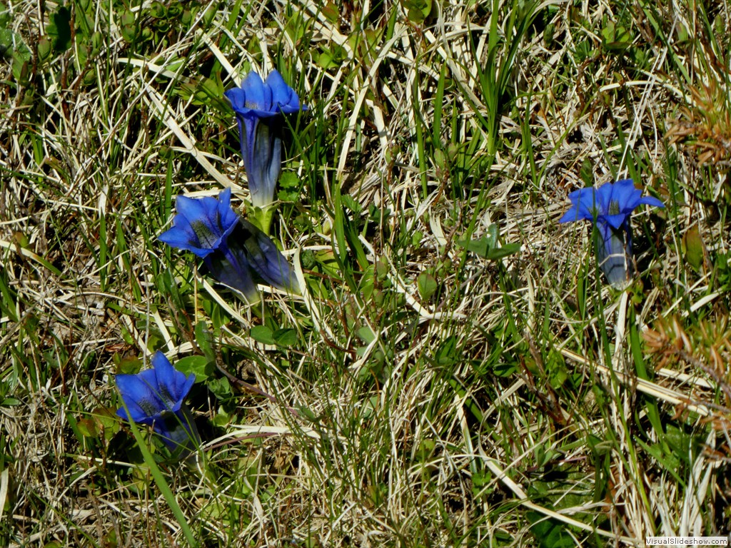P1070018
