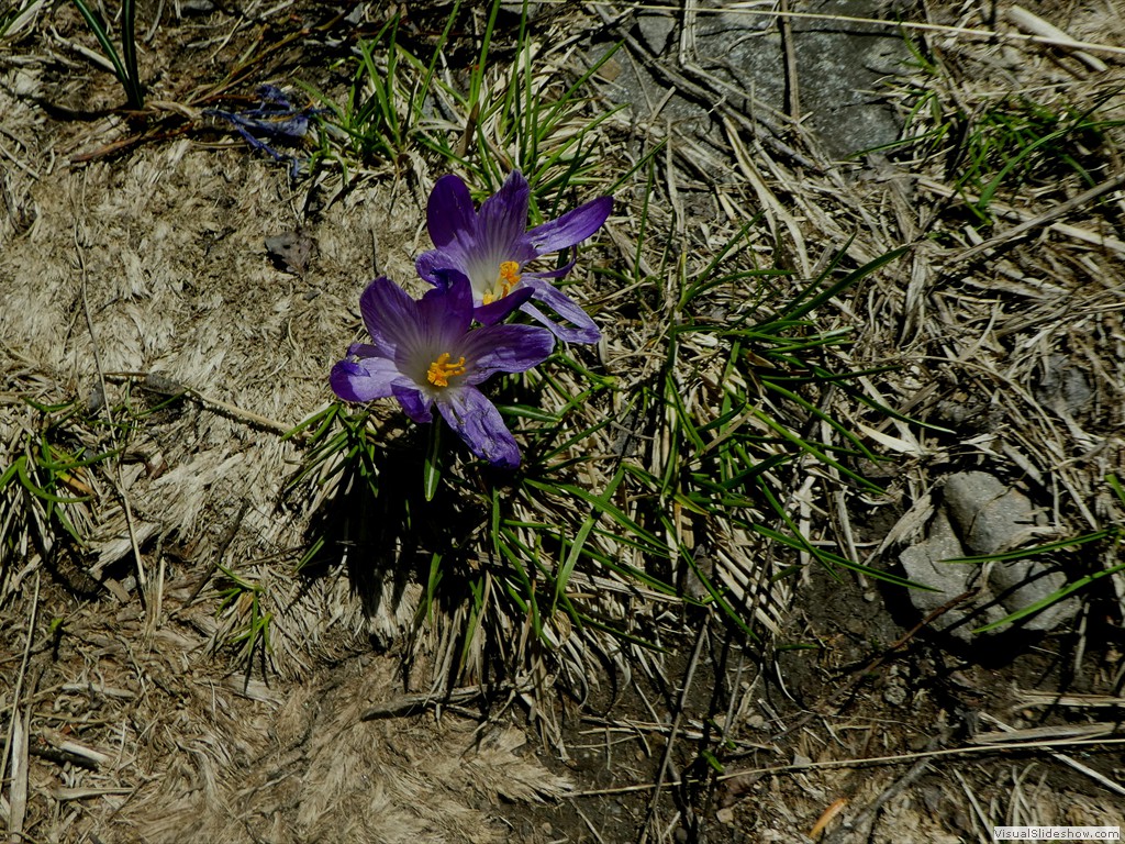 P1070019
