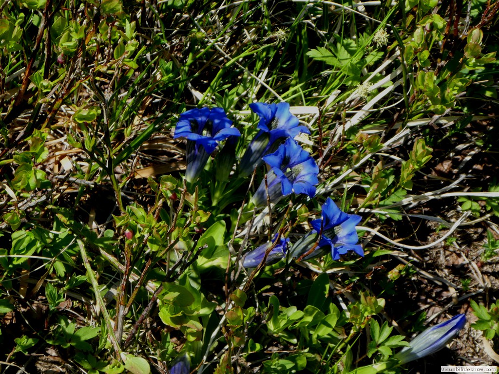 P1070021