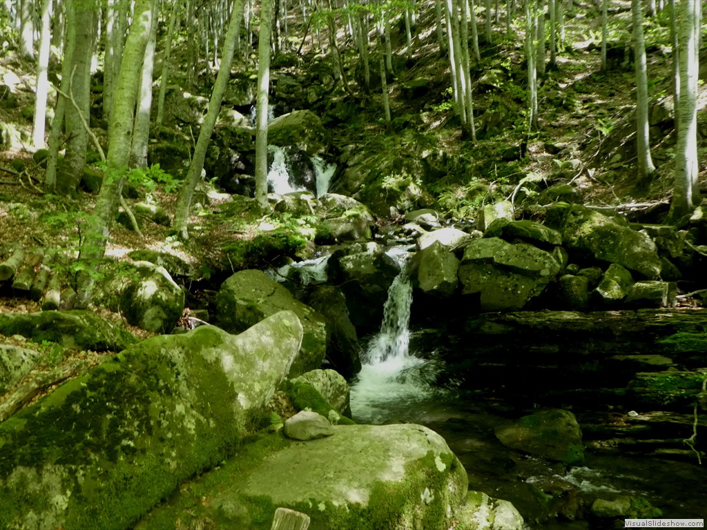 P1070031