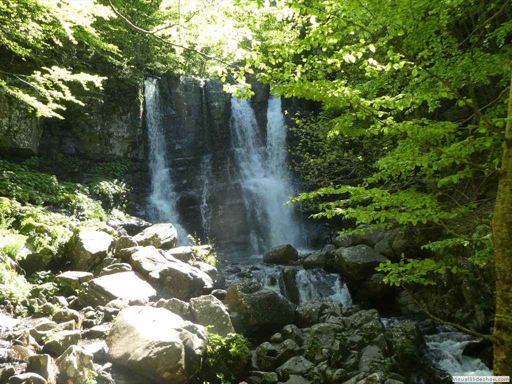 P1070038