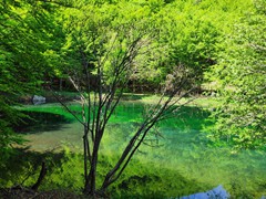 IMG_20190605_111817