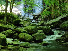 IMG_20190605_160134