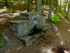 P1060989