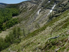 P1070007