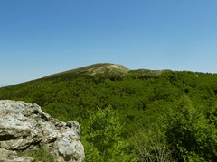 P1070008